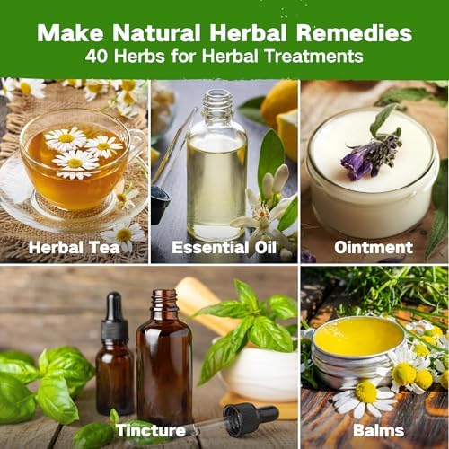 Lush&Dew Ancestral Apothecary Medicinal Tea Herb Seed Chest, Gardening Gift - Image 3
