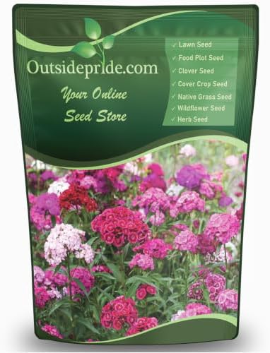 Outsidepride Sweet William Dianthus Seeds - 1 Lb. Perennial, Winter Hardy Wildflower Seeds w/Fragrant & Vibrant Blooms, Ideal for Pollinator Gardens, Cut Flowers & Colorful Landscaping by Outsidepride