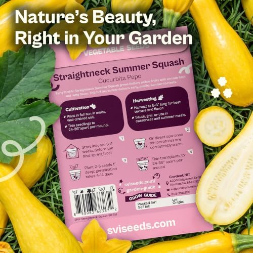 SVI 50 Straightneck Summer Squash Heirloom Vegetable Seeds, Cucurbita Pepo - Image 2