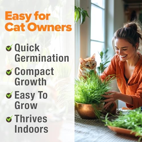 HOME GROWN Organic Cat Grass Seed Mix Oat & Barley 4 oz Easy Indoor Planter - Image 4
