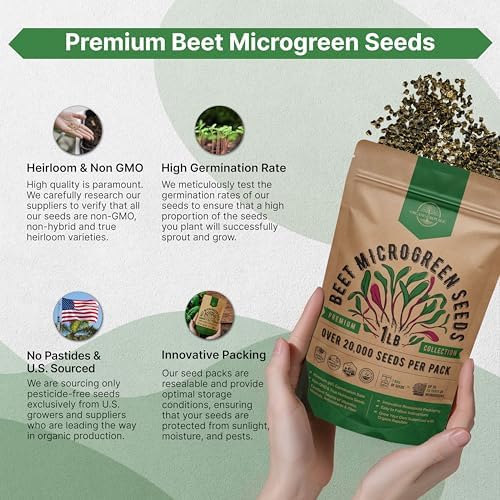 Organo Republic Beet Sprouting & Microgreens Seeds - 20,000 Non GMO Heirloom Seeds, Sprouts in Bulk 1lb Resealable Bag for Planting and Growing in Soil, Coconut Coir, Aeroponic & Hydroponic System - Image 6