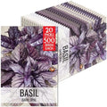 Seed Needs Opal Basil Seeds to Plant an Herb Garden - 10 Packs by SeedNeeds