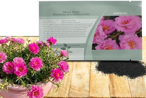 Outsidepride Pink Moss Rose Seeds - 10000 Pcs Annual, Drought & Heat Tolerant, Pollinator Friendly Ground Cover Seeds for Planting w/Vibrant Blooms & Succulent Foliage, Ideal for Xeriscaping by Outsidepride