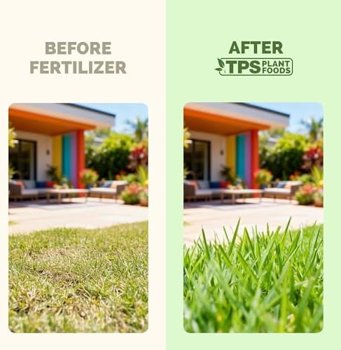St Augustine Grass Fertilizer, Liquid Lawn Food for Thicker Growth, 32 oz - Image 3
