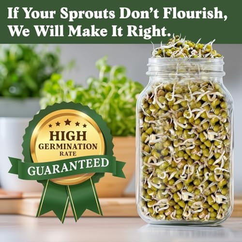 Seedboy Organic Non-GMO Sprouting Seeds (Mung Bean) - Image 3