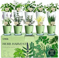 10 Indoor Herb Garden Kit, 54pcs Complete Kitchen Herb Starter Set Including 2-Color Self Watering Pots, Soil & Tools, Unique Gift Ideas for Plant Lovers, Women, Men, Friend, Birthday, Housewarming by LYKO