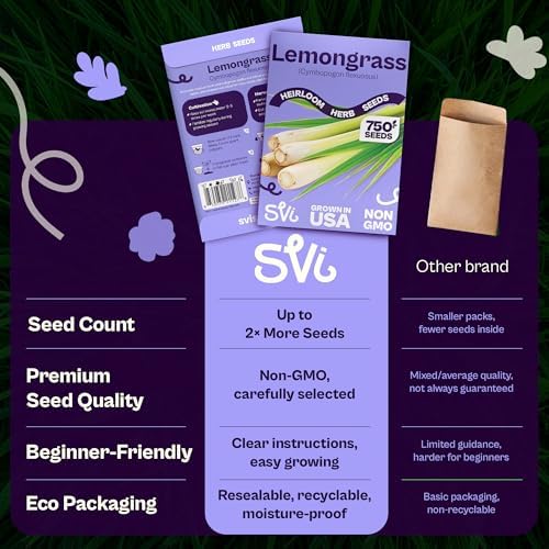 SVI 750 Lemongrass Seeds (Cymbopogon flexuosus) – West Indian Lemon Grass Seed Packets – Non GMO Heirloom Aromatic Culinary Herb Seeds for Containers, Outdoor & Indoor Herb Garden - Image 6