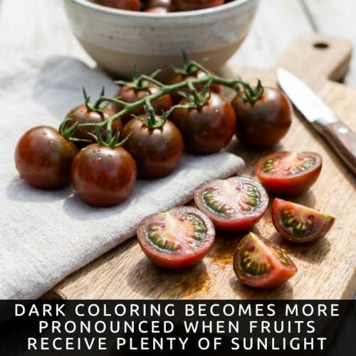 Black Pearl Tomato Seeds for Planting | 100 Seeds | Dark Cherry Tomato - Image 3