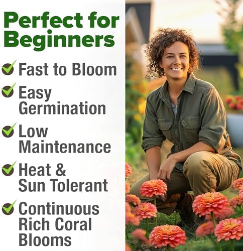 HOME GROWN Coral Zinnia Seeds, 600 Seeds, Zinnia elegans - Image 5