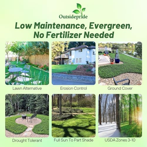 Outsidepride Perennial White MiniClover Seed - 1 lb. Dwarf, Small-Leaved, Drought & Wear-Tolerant Micro Clover Seeds for Lawn, Ideal Low-Maintenance & Easy to Grow Ground Cover Seeds for Home Yard - Image 3