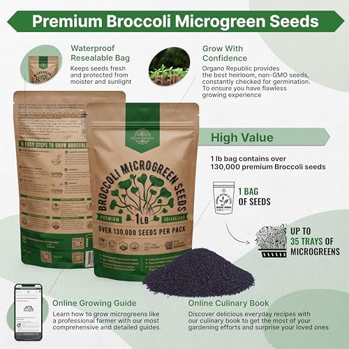 Organo Republic Broccoli Sprouting & Microgreens Seeds - Non-GMO, Heirloom Sprout Seeds Kit, 1lb Resealable Bag for & Growing Microgreens in Soil, Coconut Coir, Aerogarden & Hydroponic - Image 2