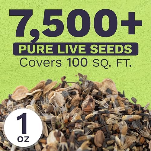 Drought Tolerant Wildflowers Mix – Extra Large Packet – Over 7,500 Open Pollinated Non-GMO Seeds – 21 Different Dryland Species (Pack of 3) - Image 3
