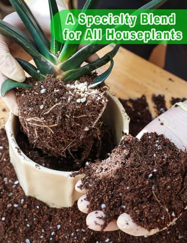 TOYPOPOR Potting Soil for All Indoor Houseplants, Contains Perlite, Peat Moss, Coco Coir and Rice Charcoal, Well Draining Potting Mix Light, Aerated Texture for Healthy Plant Roots and Fast Growth 1qt - Image 5