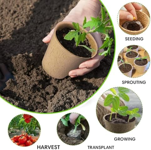Seed Starter Kit - 10 Peat Pots, Coco Coir Discs & Markers - Image 6