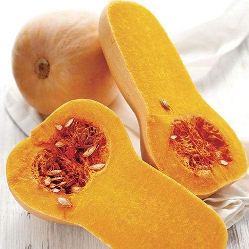 Park Seed Early Butternut Hybrid Winter Squash Seeds – Compact Vine Growth, Sweet Nutty Flavor, Fine-Textured Tan Flesh, AAS Winner 1979, Space-Saving and Long-Storing Variety, Pack of 20 - Image 2