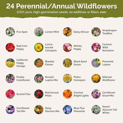 Eden Brothers Tennessee Wildflower Mixed Seeds for Planting, 1 oz - Image 3