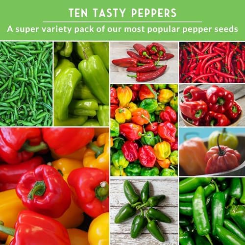 10 Pepper Seed Variety Pack for Planting - Survival Garden Seeds - Image 4