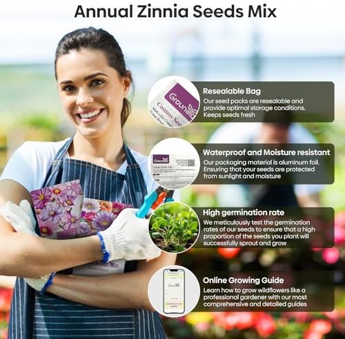 Groundio Zinnia Seeds, 3000+ Mixed Colors Large Blooms Seeds, Non GMO Zinnia Elegans for 2027, High Germination Heirloom Wildflower Seeds for Planting Outdoor, Pollinator Gardens Borders & Containers - Image 5