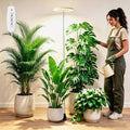 LBW Grow Lights for Indoor Plants, 80 LEDs Full Spectrum Disc Plant Light with Base, 2-in-1 Base & Stake Design Grow Lamp, 65" Height Adjustable, 6/8/12/16H Auto Timer,5 Dimming Levels, Bamboo Grain by LBW