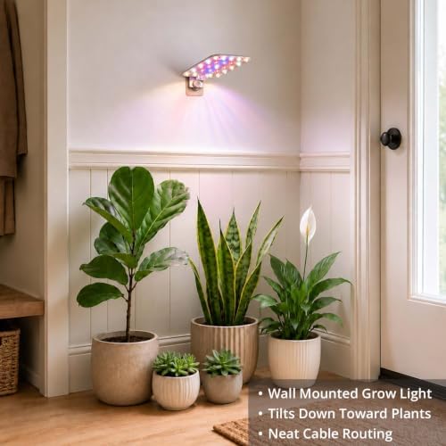Wall Mounted Grow Light for Indoor Plants, Full Spectrum, 1-Pack - Image 3