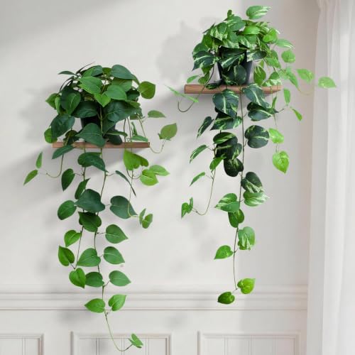 Fake Pothos Hanging Plants, 33" Set of 2 Artificial Hanging Plant with Pot, Faux Pothos Vines Hanging Plant Greenery for Wall Home Living Room Indoor Decor (2, Green Pothos and Golden Pothos) by Unknown