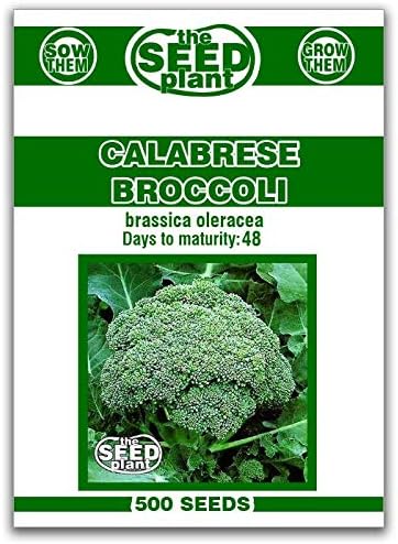 Calabrese Broccoli Seeds - 500 Seeds Non-GMO by Unknown