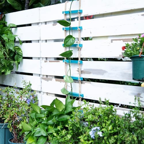Blue Plant Ladder Indoor Plants Hanging Wooden Trellis for Vine - Image 5