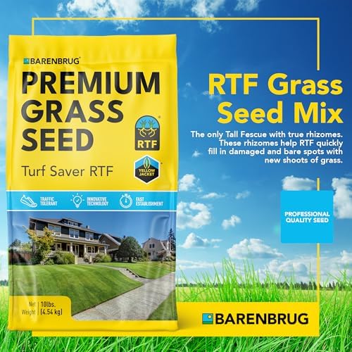 Barenbrug Turf Saver RTF Grass Seed with Yellow Jacket Seed Coating - Less Water Self-Repairing Tall Fescue Turf for Use on Sports Field, Golf Courses, Parks, Lawns, and Yard (10 LB Bag) - Image 2