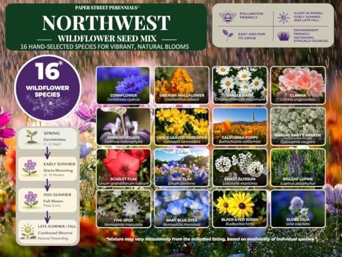 Northwestern Wildflower Seed Mix – 16 Regional Wildflower Species for WA, OR, ID & Western MT – Pollinator Friendly Annual & Perennial Blend – Non-GMO Flower Seeds – 1/2lb Covers 1,500Sq-Ft - Image 3