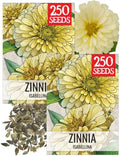 Seed Needs Isabellina Zinnia Seeds to Plant Cut Flowers - 2 Packs by SeedNeeds