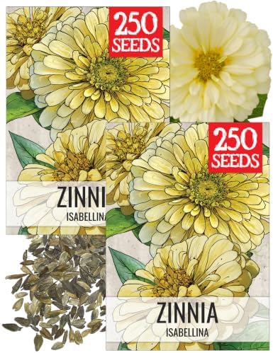 Seed Needs Isabellina Zinnia Seeds to Plant Cut Flowers - 2 Packs by SeedNeeds