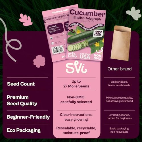 SVI 30 Telegraph English Cucumber Seeds (Cucumis sativus) – English Cucumbers, Cucumber Seed Packets – Heirloom Vegetable Seeds for Home Garden & Vegetable Garden, Raised Beds, Containers - Image 6