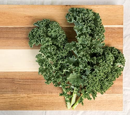 Burpee Prizm Hybrid Kale Seeds 50 seeds - Image 5