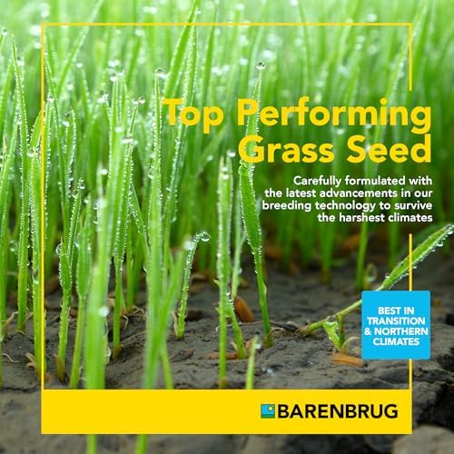 Barenbrug Pebble Beach Sun & Shade Grass Seed Mixture for Lawn Repair & Growth, Pebble Beach Golf Course Approved Blend, 20 LB Bag - Image 4