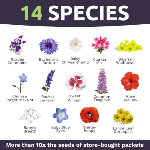 Bulk Wildflower Seeds Partial Shade Mix - 1 Pound Bag Over 120,000 Open Pollinated Annual and Perennial Seeds - Image 4
