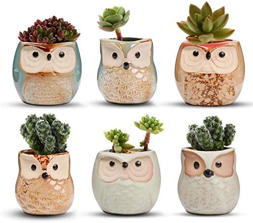 T4U Owl Succulent Pots, Mini Ceramic Gift Pots with Drainage, Retro 6 Pack by T4U