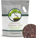 Perfect Plants Bonsai Soil, 8 qt, Organic All-Purpose Potting Mix by PerfectPlantsNursery