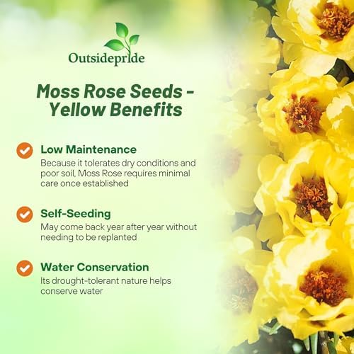 Outsidepride Yellow Moss Rose Seeds - 10000 Pcs Annual, Drought & Heat Tolerant, Pollinator Friendly Ground Cover Seeds for Planting w/Vibrant Blooms & Succulent Foliage, Ideal for Xeriscaping - Image 3