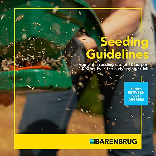 Barenbrug 25626 Turf Sense Athletic Field Grass Seed Grows in Areas of Sun and Partial Shade, 25 LB Bag - Image 5