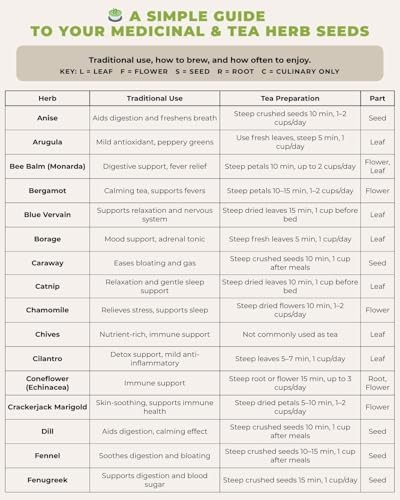 Tactiko Medicinal & Tea Herb Seeds Kit | 40 Varieties | Non-GMO | US Grown - Image 6