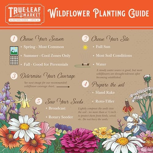 Mountain Valley Seed Co All Annual Wildflower Mix Seed for Planting 1 Lb - Image 3