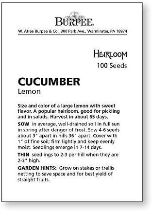 Burpee 'Lemon' Cucumber Seeds, 100 Non-GMO seeds, Heirloom - Image 3