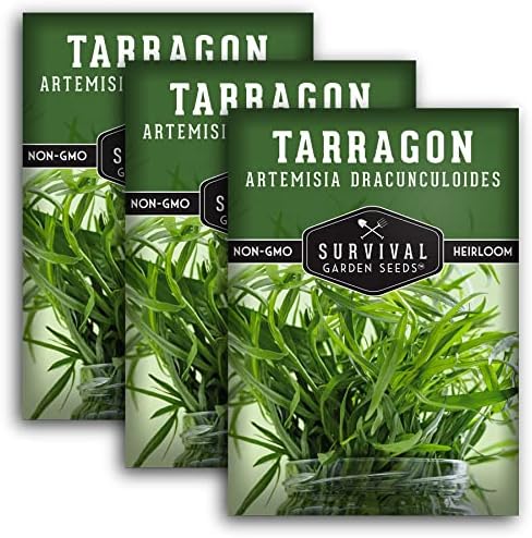 Russian Tarragon Seeds for Planting - 3 Packs by SurvivalGardenSeeds