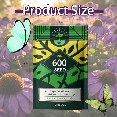 Purple Coneflower Seeds for Planting Outdoor, Hardy Native Perennial Flower - Image 7