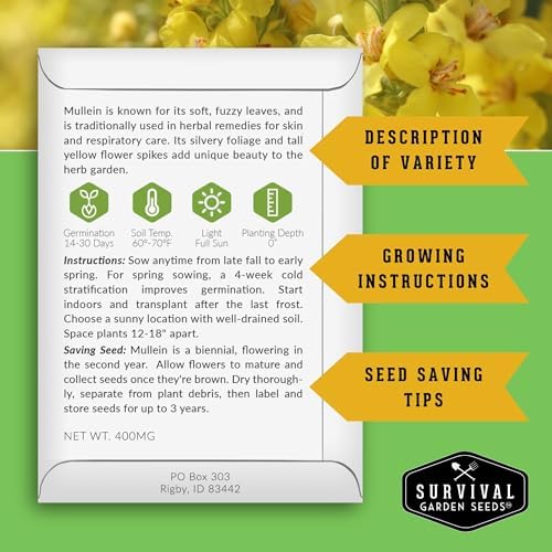 Mullein Seeds for Planting, Verbascum Thapsus - 2 Packs - Image 2