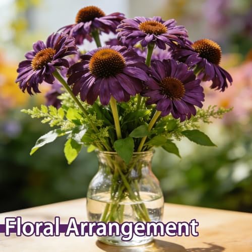 Purple Coneflower Seeds for Planting Outdoor, Hardy Native Perennial Flower - Image 6