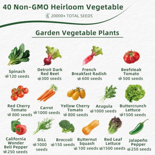 Fall Winter Vegetable Heirloom Seeds | 40 Varieties | 20,000+ High Yield Garden Seeds | Sweet Basil, Cherry Tomato, Romaine Lettuce & More | 2026 Season | for Indoor & Outdoor Home Planting - Image 2