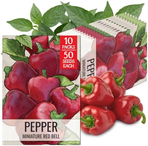 Seed Needs Mini Red Bell Pepper Seeds to Plant Vegetables - 10 Packs by SeedNeeds