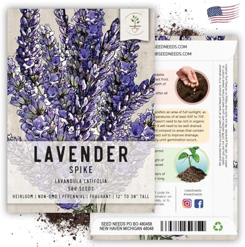 Seed Needs Spike Lavender Seeds to Plant an Herb Garden - 1 Pack - Image 6
