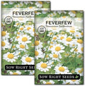 Sow Right Seeds - Feverfew Seed for Planting Perennial Medicinal Herb 2pk by SowRightSeeds